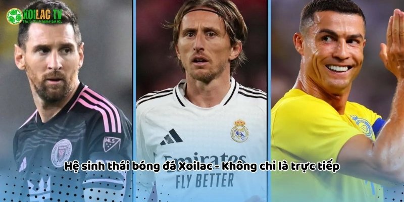 Trải nghiệm mượt mà với chất lượng hình ảnh sắc nét